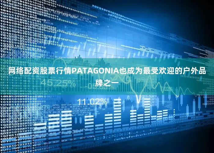 网络配资股票行情PATAGONIA也成为最受欢迎的户外品牌之一