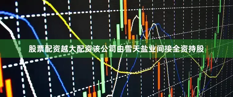 股票配资越大配资该公司由雪天盐业间接全资持股