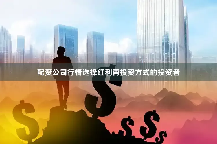 配资公司行情选择红利再投资方式的投资者