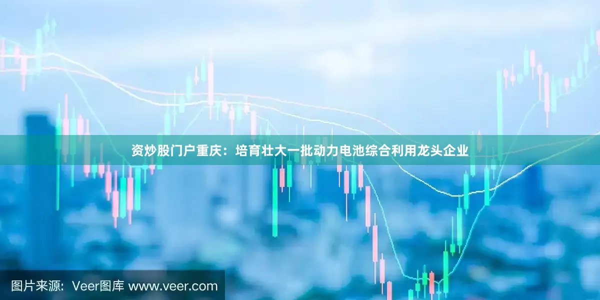 资炒股门户重庆：培育壮大一批动力电池综合利用龙头企业