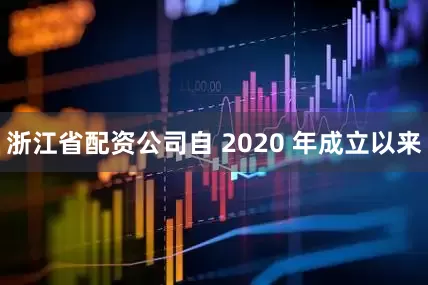 浙江省配资公司自 2020 年成立以来