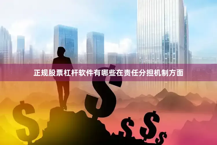 正规股票杠杆软件有哪些　　在责任分担机制方面