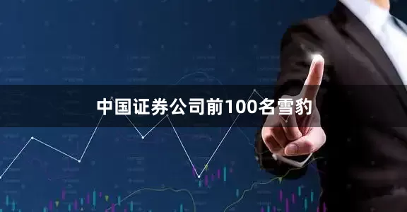 中国证券公司前100名雪豹