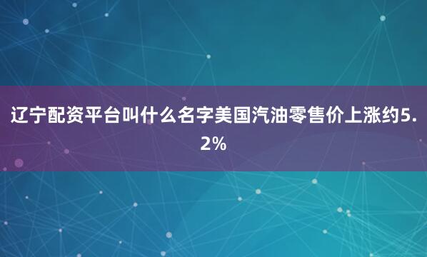 辽宁配资平台叫什么名字美国汽油零售价上涨约5.2%