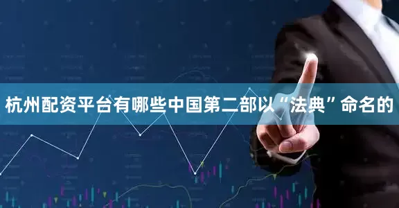 杭州配资平台有哪些中国第二部以“法典”命名的