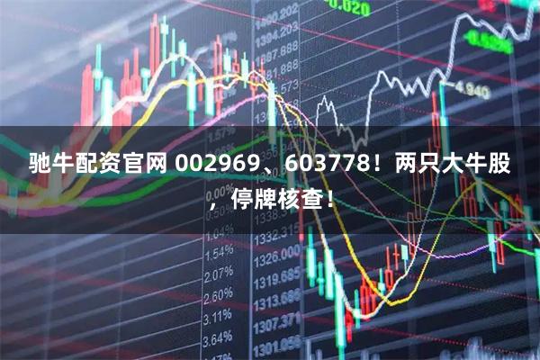 驰牛配资官网 002969、603778！两只大牛股，停牌核查！