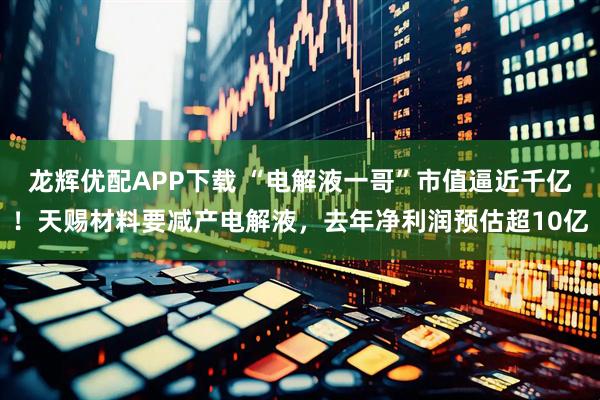 龙辉优配APP下载 “电解液一哥”市值逼近千亿！天赐材料要减产电解液，去年净利润预估超10亿