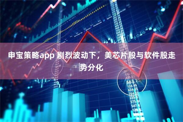 申宝策略app 剧烈波动下，美芯片股与软件股走势分化